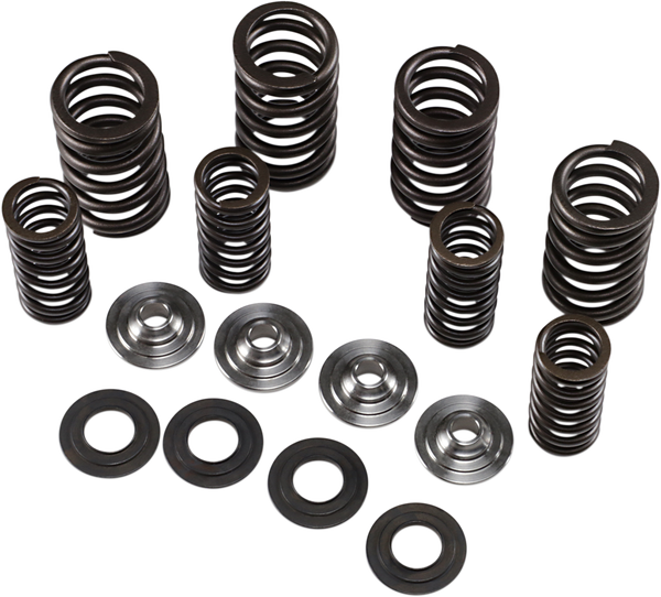 Valve Spring Kit, 2, nordicamoto.ro
