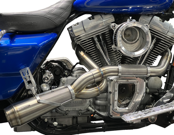 Big Sexy 2-into-1 High Performance Exhaust Raw, 2, nordicamoto.ro