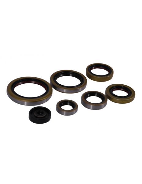 Set simeringuri motor KTM EXC 250/300 '17-'23 TPI (P400270400083) Enduro Expert 8023EE, 1, nordicamoto.ro