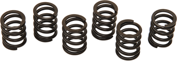 Clutch Spring Kit Black, 1, nordicamoto.ro