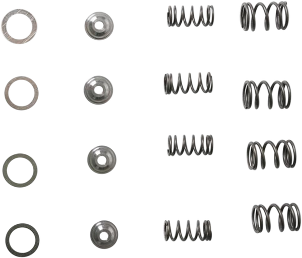 Valve Spring Kit, 1, nordicamoto.ro