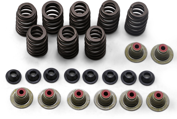 Valve Spring Kit, 1, nordicamoto.ro