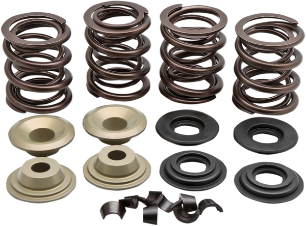 Complete Valve Spring Kit, 1, nordicamoto.ro