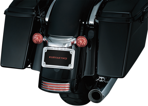 Rear Fender Accent Chrome, 1, nordicamoto.ro