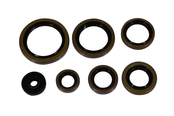 Set simeringuri motor KTM EXC 250/300 '17-'23 TPI (P400270400083) Enduro Expert 8023EE, 2, nordicamoto.ro