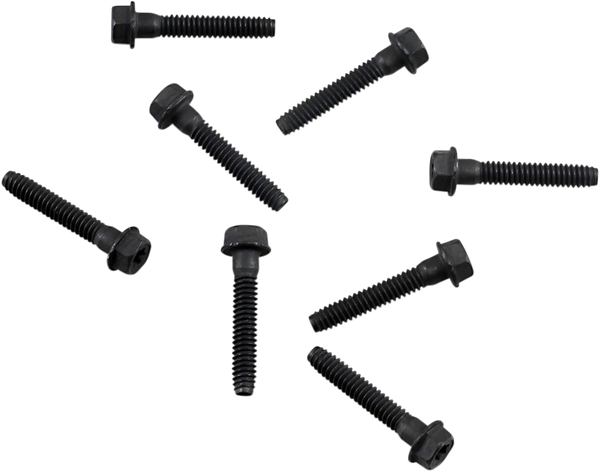 Cover Plate Bolt Kit, 1, nordicamoto.ro