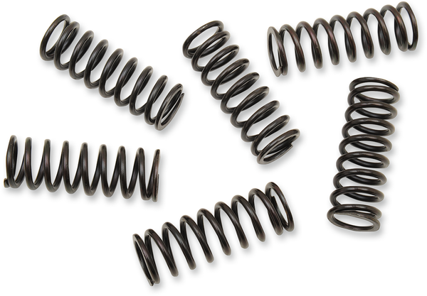 Clutch Spring Kit Black, 1, nordicamoto.ro