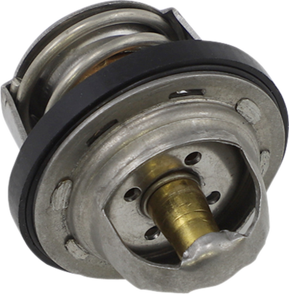 Thermostat Silver, 1, nordicamoto.ro