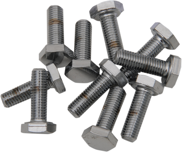 Fine-thread Hex-head Bolt Assortment Silver, 2, nordicamoto.ro