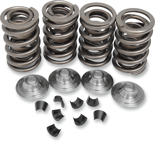 Valve Spring Kit, 1, nordicamoto.ro