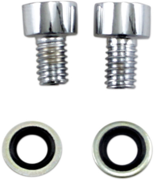 Fork Drain Screw Kit Silver, 2, nordicamoto.ro