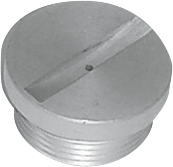 Primary Cover Filler Caps Silver, 1, nordicamoto.ro