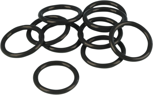 O-ring Cam Positioning Sensor, 1, nordicamoto.ro