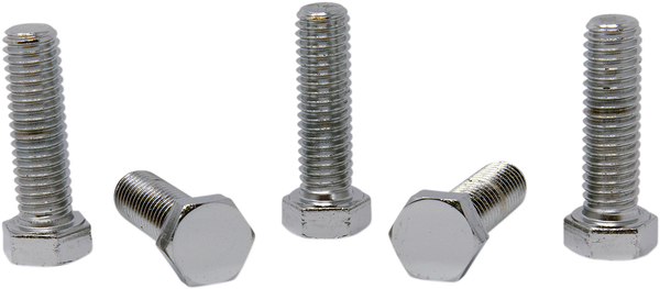 Replacement Hex-head Bolts Silver, 1, nordicamoto.ro