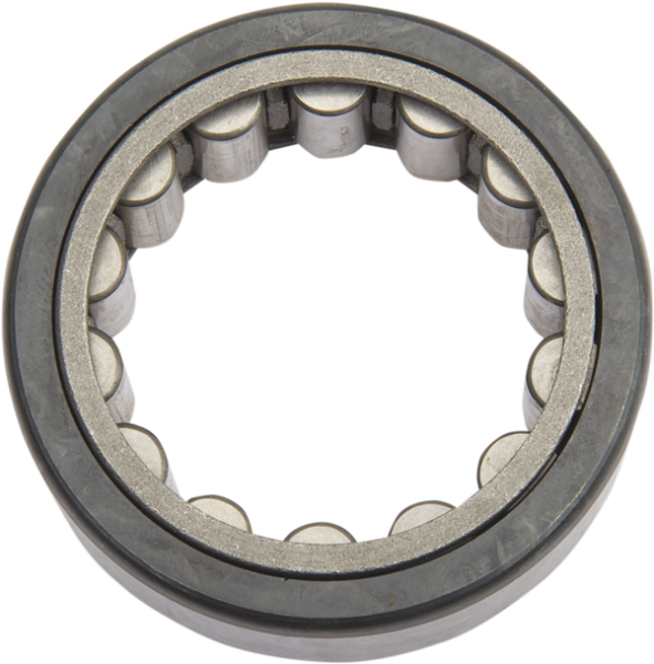 Left Side Sprocket Shaft Replacement Bearing, 1, nordicamoto.ro