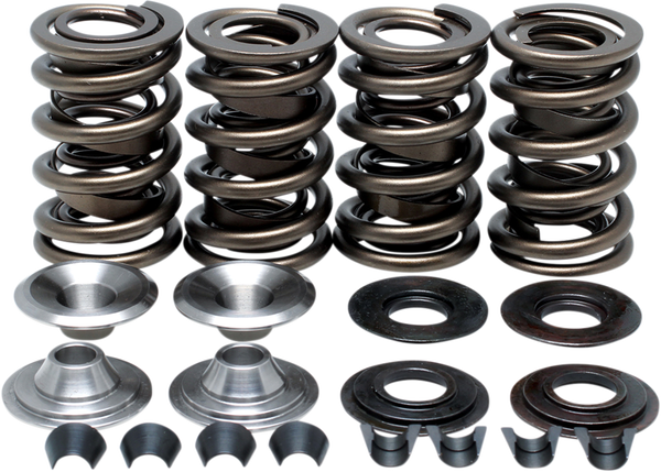 Valve Spring Kit, 1, nordicamoto.ro