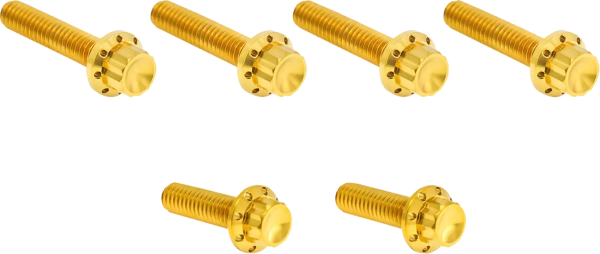 Transmission Side Cover Titanium 12-Point Bolt Kit Gold, 1, nordicamoto.ro