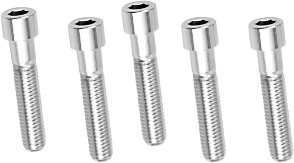 Replacement Socket Head Bolts Silver, 1, nordicamoto.ro