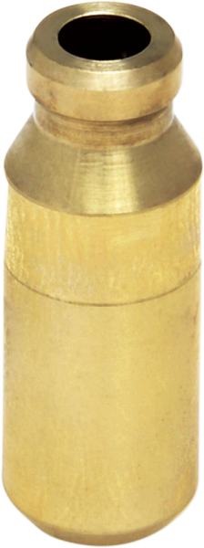 C630 Valve Guides Brown Standard, 1, nordicamoto.ro