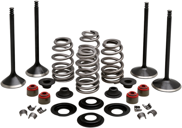 Engine Kit, 1, nordicamoto.ro