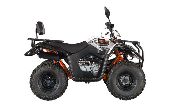 KAYO AU200 gyermek-ATV, T3b-kategóriában nyilvántartott, 4, nordicamoto.ro