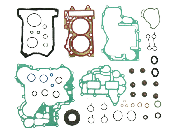 Sno-X Full Gasket Set With Oil Seals BRP 600 ACE, 1, nordicamoto.ro