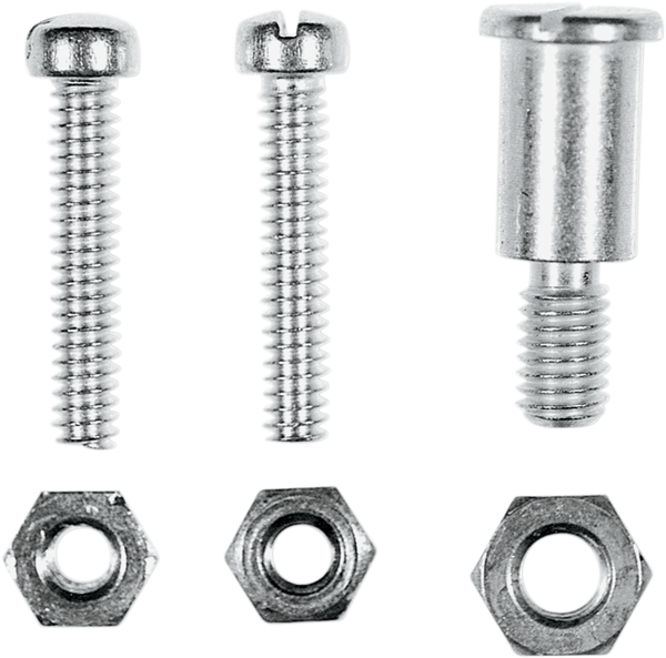 Clutch And Brake Lever Pivot Screw Kit Silver, 1, nordicamoto.ro
