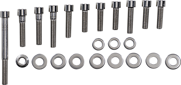 Bolt Kit Mtr Mnt Fl 08-16 Polished, Stainless Steel, 2, nordicamoto.ro
