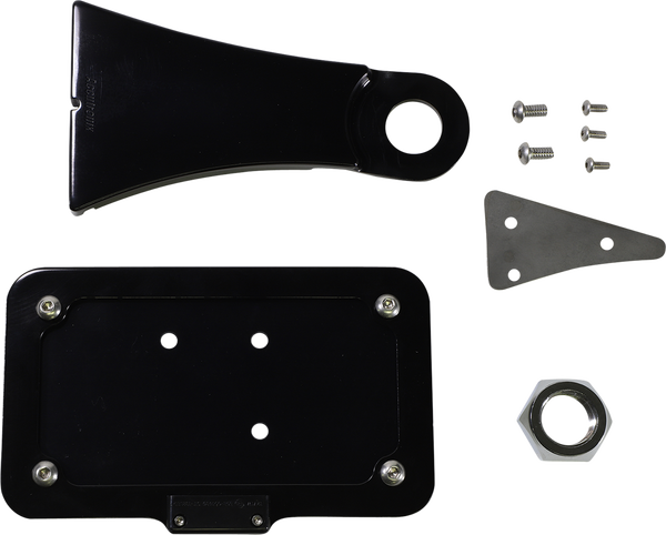 Side Mount License Plate With Led Tag Light White, 2, nordicamoto.ro