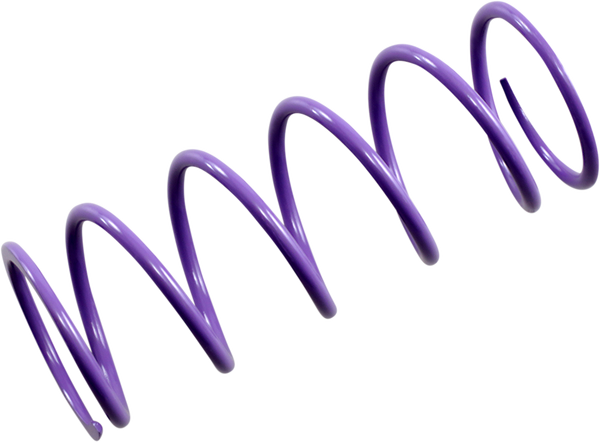 Primary Clutch Spring Purple, 1, nordicamoto.ro