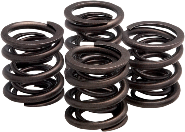 Valve Spring Kit, 1, nordicamoto.ro