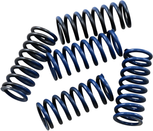 Hi-temp Clutch Spring Kit Steel, 1, nordicamoto.ro