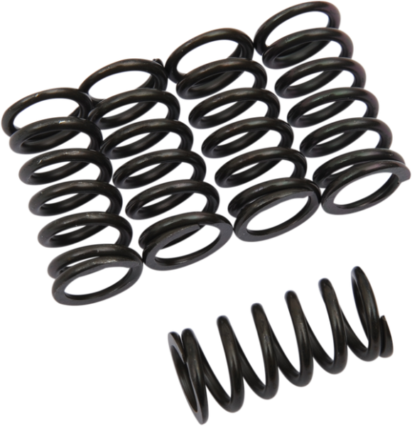 Clutch Spring Kit Black, 1, nordicamoto.ro