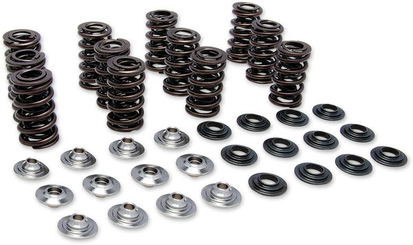 Spring Kit Racing Titanium Retainer, 1, nordicamoto.ro