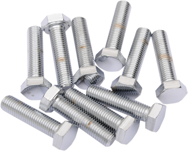 Fine-thread Hex-head Bolt Assortment Silver, 2, nordicamoto.ro