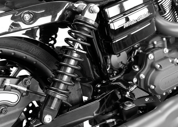 Revo Dyna Coil Suspension Black, Anodized, 4, nordicamoto.ro