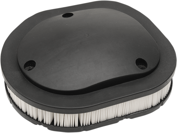 Indian Oem Replacement Air Filter Element Black, White, 1, nordicamoto.ro