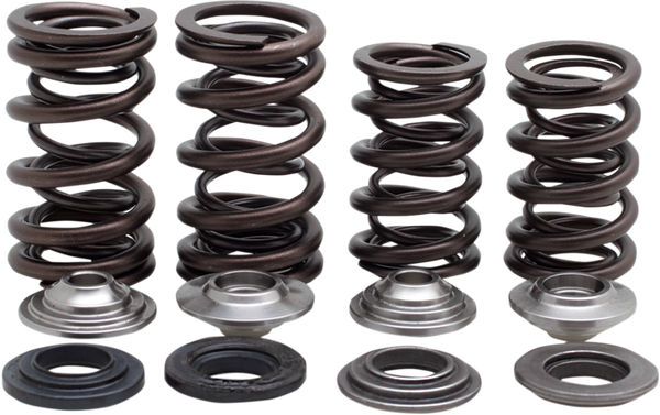 Valve Spring Kit, 1, nordicamoto.ro