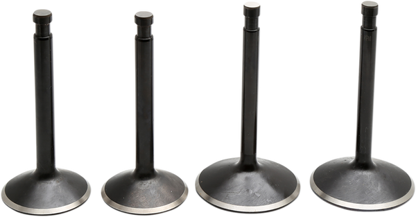 Engine Valve Kit, 1, nordicamoto.ro