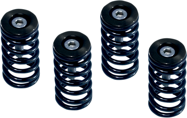 Clutch Spring Kit Black, Powder-coated, Anodized, 1, nordicamoto.ro