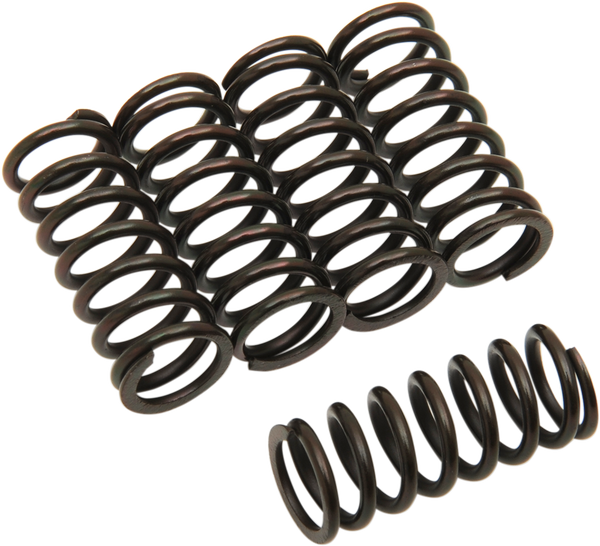 Clutch Spring Kit Black, 1, nordicamoto.ro