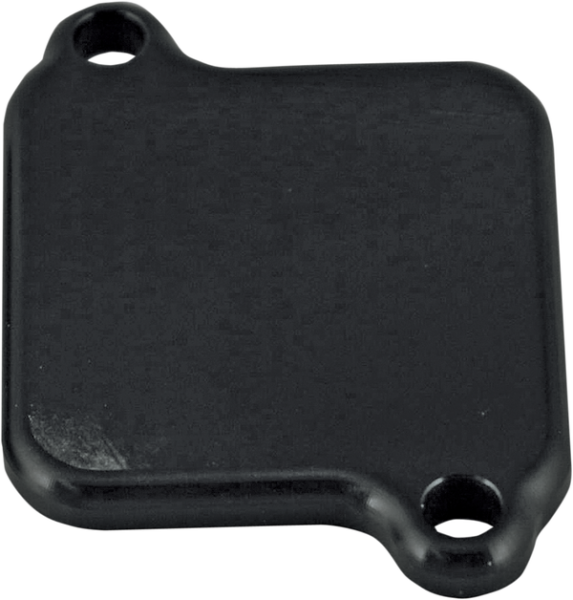 Air Injection Block-off Plate Black, 1, nordicamoto.ro