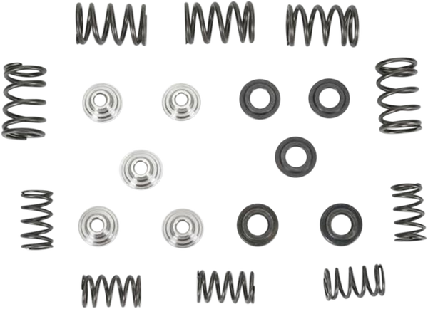 Valve Spring Kit, 1, nordicamoto.ro