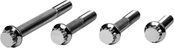 Bolt Kit,frt Calpr 06vrod Silver, 1, nordicamoto.ro