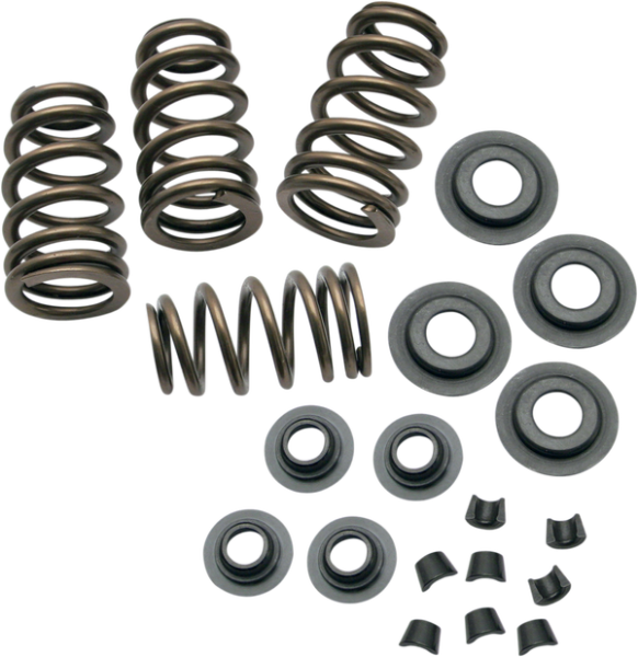 Sidewinder® .650(r) Valve Spring Kit, 1, nordicamoto.ro