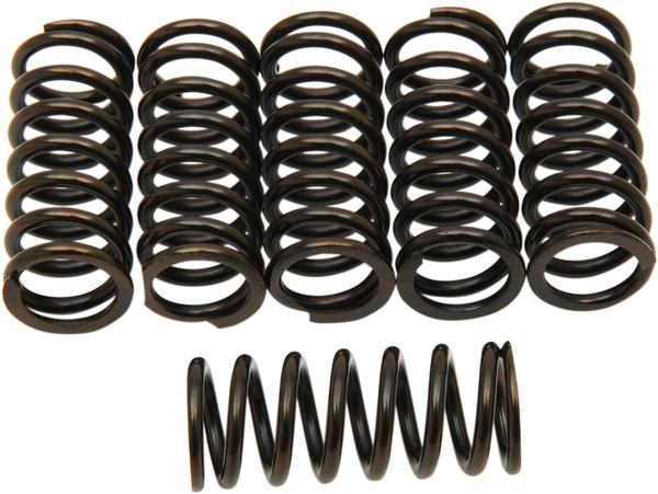 Clutch Spring Kit Black, 1, nordicamoto.ro