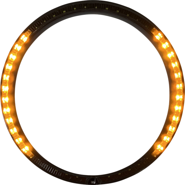 Probeam® Turn Signal Ring Trim Amber, White, 1, nordicamoto.ro