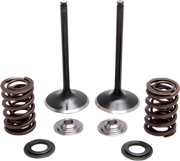 Stainless Steel Conversion Valve And Spring Kit, 1, nordicamoto.ro