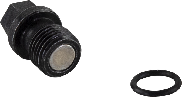 Engine Drain Plug, 2, nordicamoto.ro