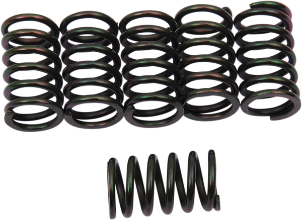 Clutch Spring Kit Black, 1, nordicamoto.ro